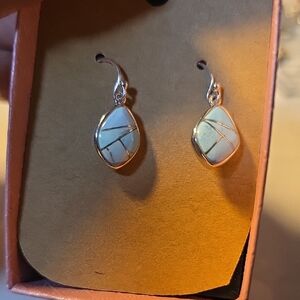 Elegant Silver and Blue Turquise Earrings